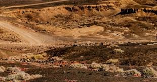 季后赛即将来临…